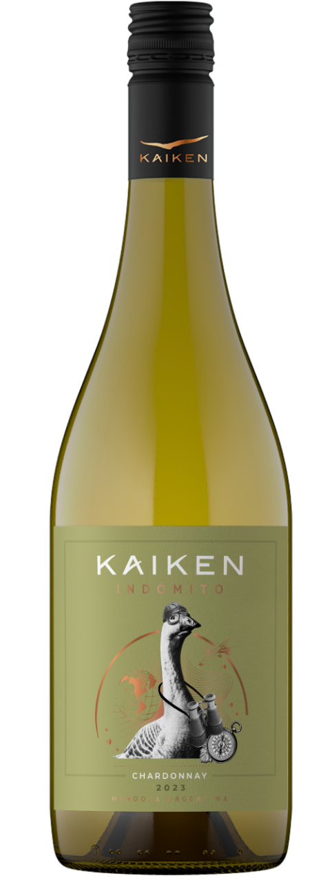 botella vino