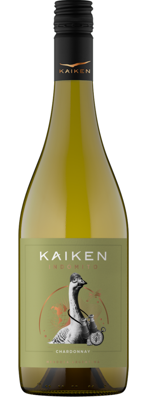 botella vino