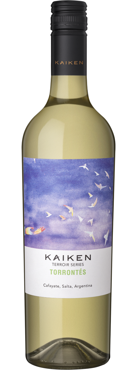 botella vino